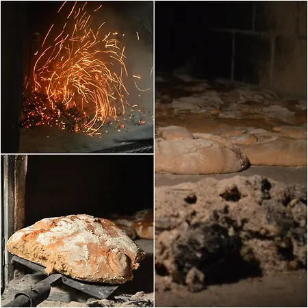 Glamping Organic Farm Slibar