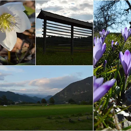 Farm stay Glamping Organic Farm Slibar *