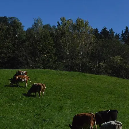 Farm stay Glamping Organic Farm Slibar Trzic