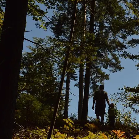 Glamping Organic Farm Slibar * Tržič