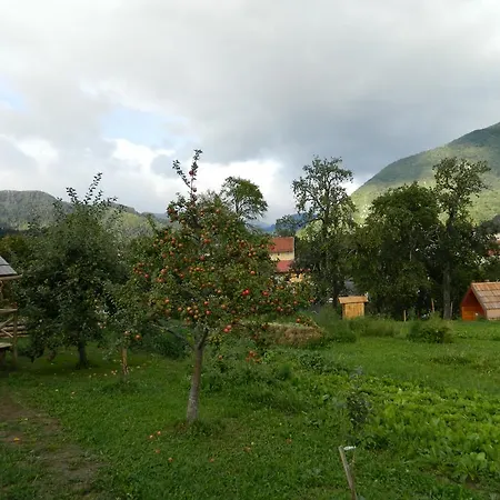Glamping Organic Farm Slibar * Trzic