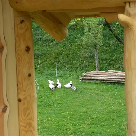 Glamping Organic Farm Slibar