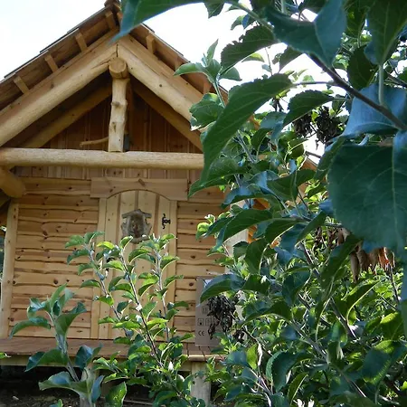 Glamping Organic Farm Slibar * Trzic