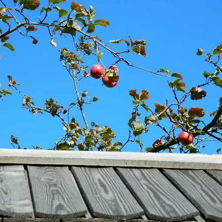 Feriegård Glamping Organic Farm Slibar Tržič