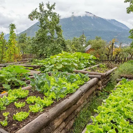 Glamping Organic Farm Slibar