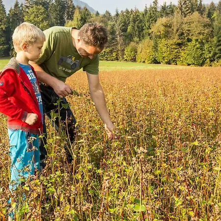 Glamping Organic Farm Slibar * Trzic