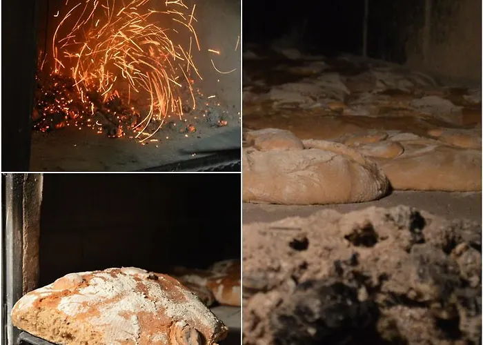 Glamping Organic Farm Slibar