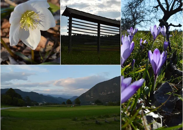 Alojamento de Turismo Rural Glamping Organic Farm Slibar *