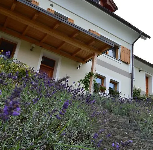 Alojamento de Turismo Rural Glamping Organic Farm Slibar *