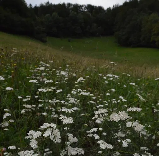 Glamping Organic Farm Slibar Alojamento de Turismo Rural *