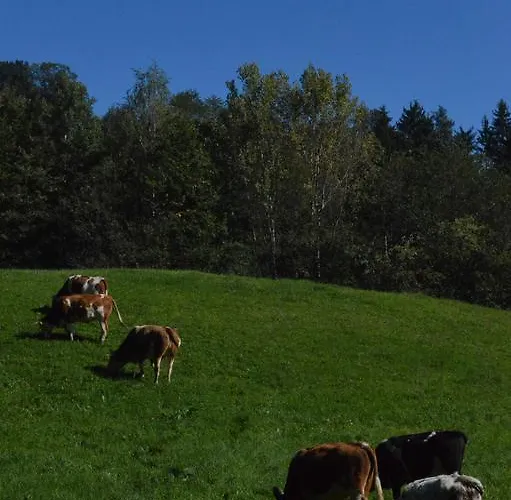 Alojamento de Turismo Rural Glamping Organic Farm Slibar Tržič