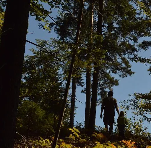 Glamping Organic Farm Slibar * Tržič