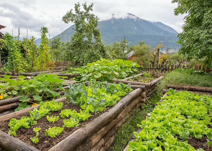 Glamping Organic Farm Slibar