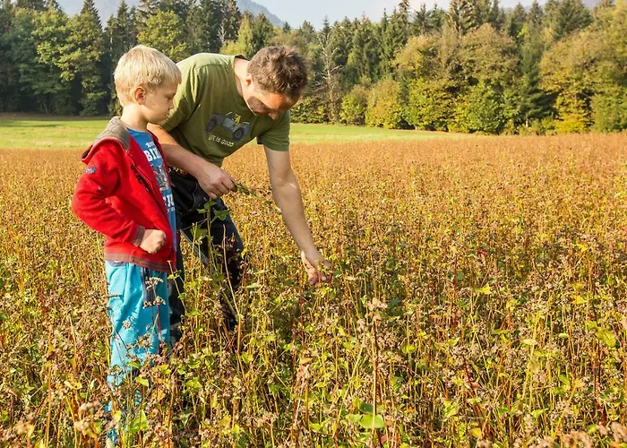Glamping Organic Farm Slibar * Tržič
